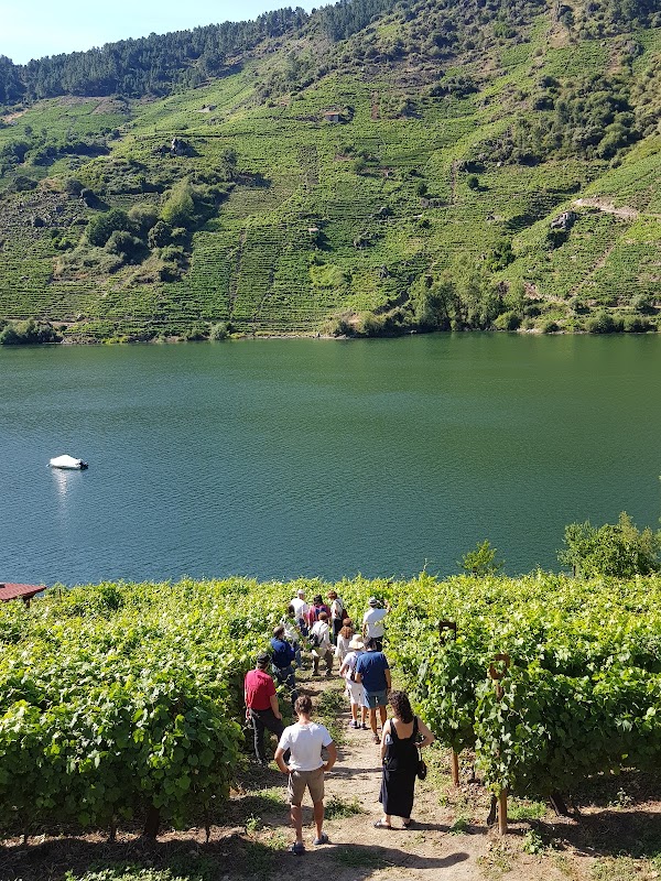 Bodega Ronsel do Sil