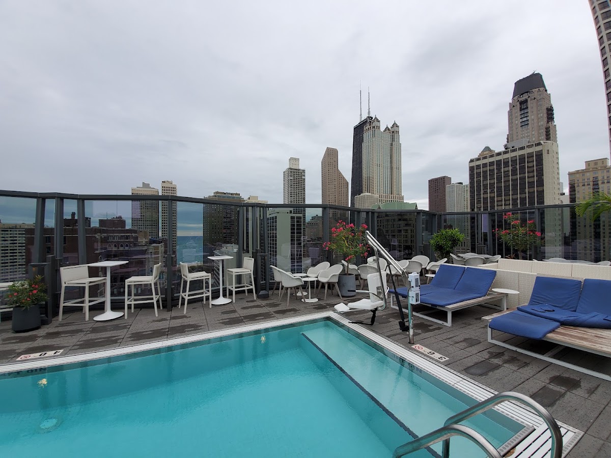 Viceroy Chicago, dog-friendly hotel, photo 2