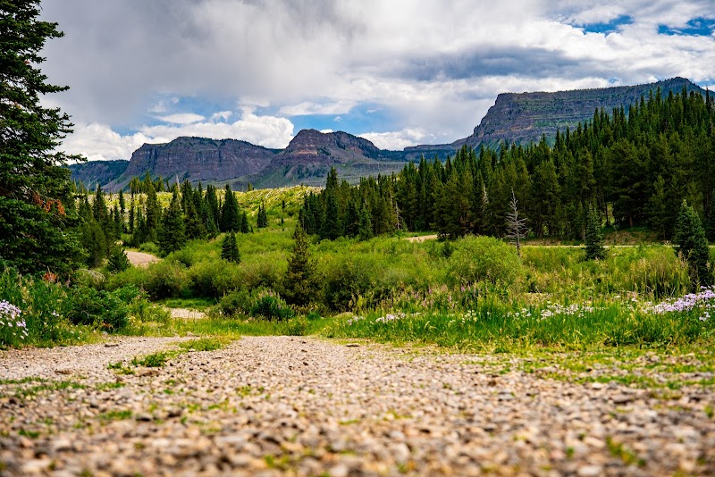 Trappers Lake Lodge - Photo 4