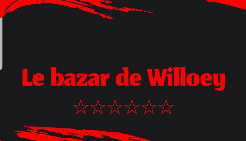 KARINE JOUVENTE (LE BAZAR DE WILLOEY) — photo 4
