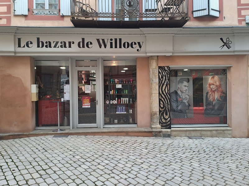 KARINE JOUVENTE (LE BAZAR DE WILLOEY) — photo 2