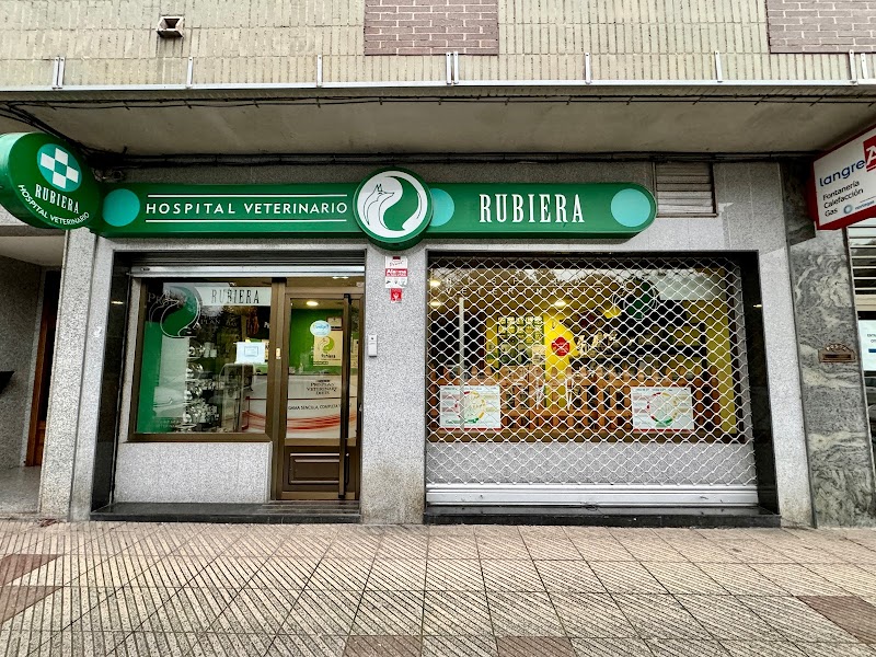 Veterinario Rubiera