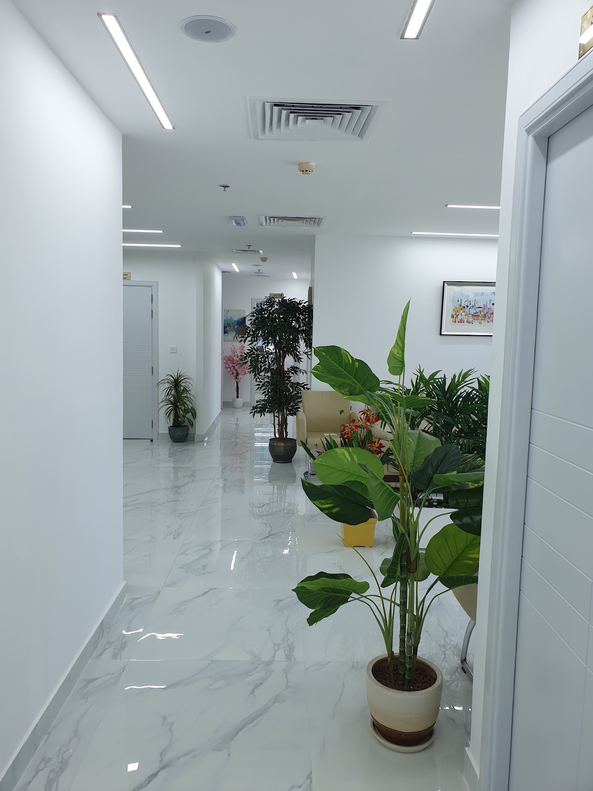 DrSurindher AestheticsPlus UAE- Plastic Surgeon 3