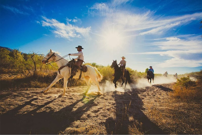 Tanque Verde Ranch - Photo 6
