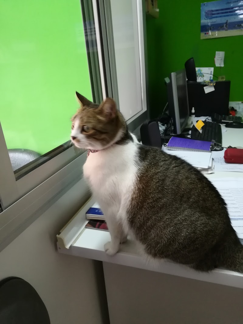 Centro veterinario Guanarteme