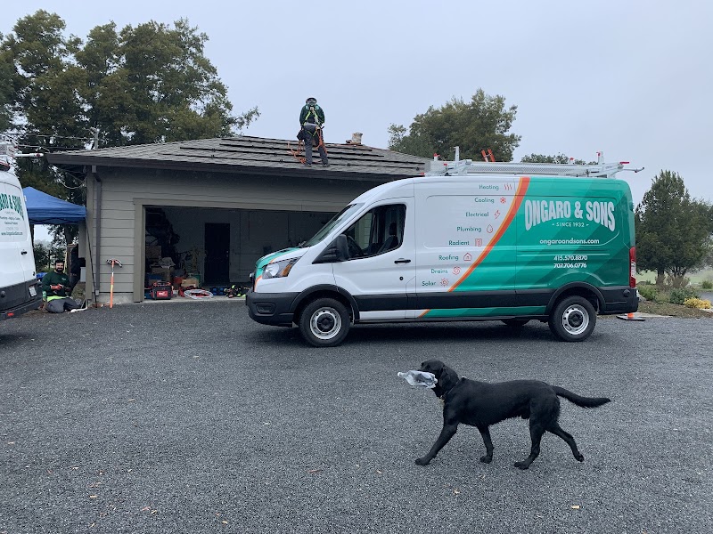 Ongaro & Sons - General Contractor in San Anselmo