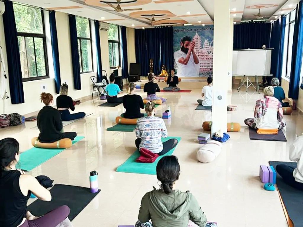 D'vine Yoga -Best Yoga School & Retreat in Rishikesh India Specialist yog in Hatha , Ashtanga , Vinyasa and Kundalini — 4