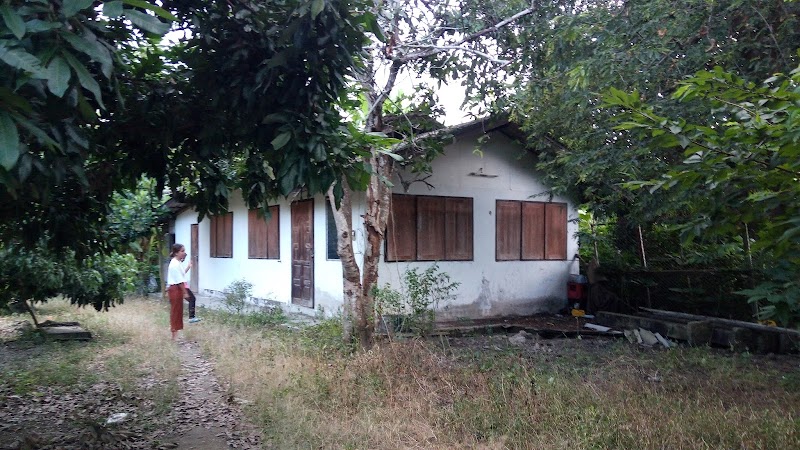 Masjid Nurul Islam مسجد photo 5