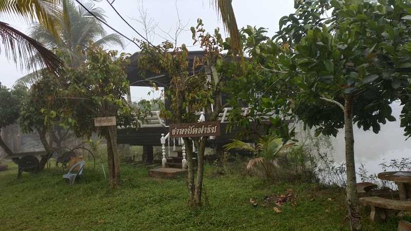 Masjid Nurul Islam مسجد photo 6