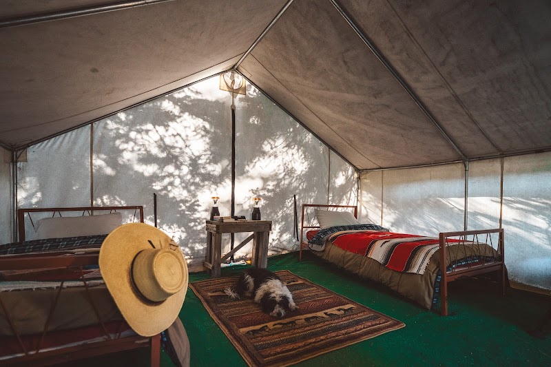 Little Jennie Ranch - Photo 6