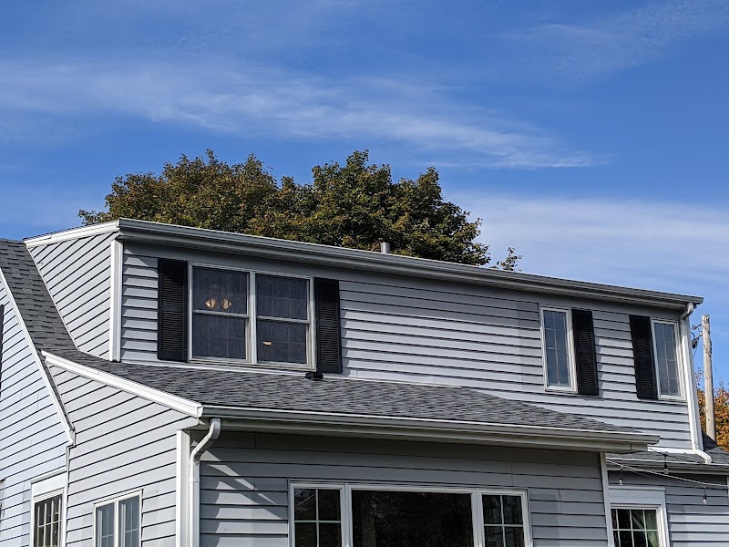 Rescue My Roof photo 1