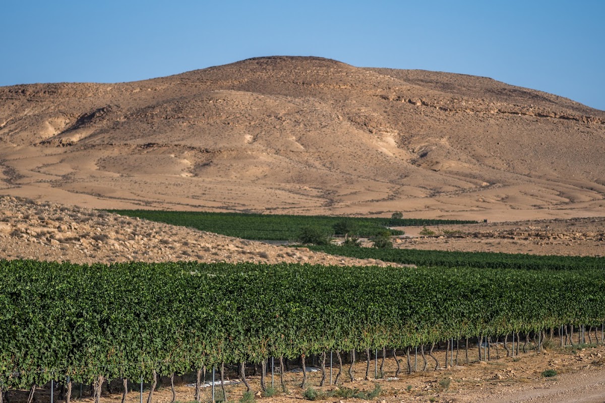Nana Winery