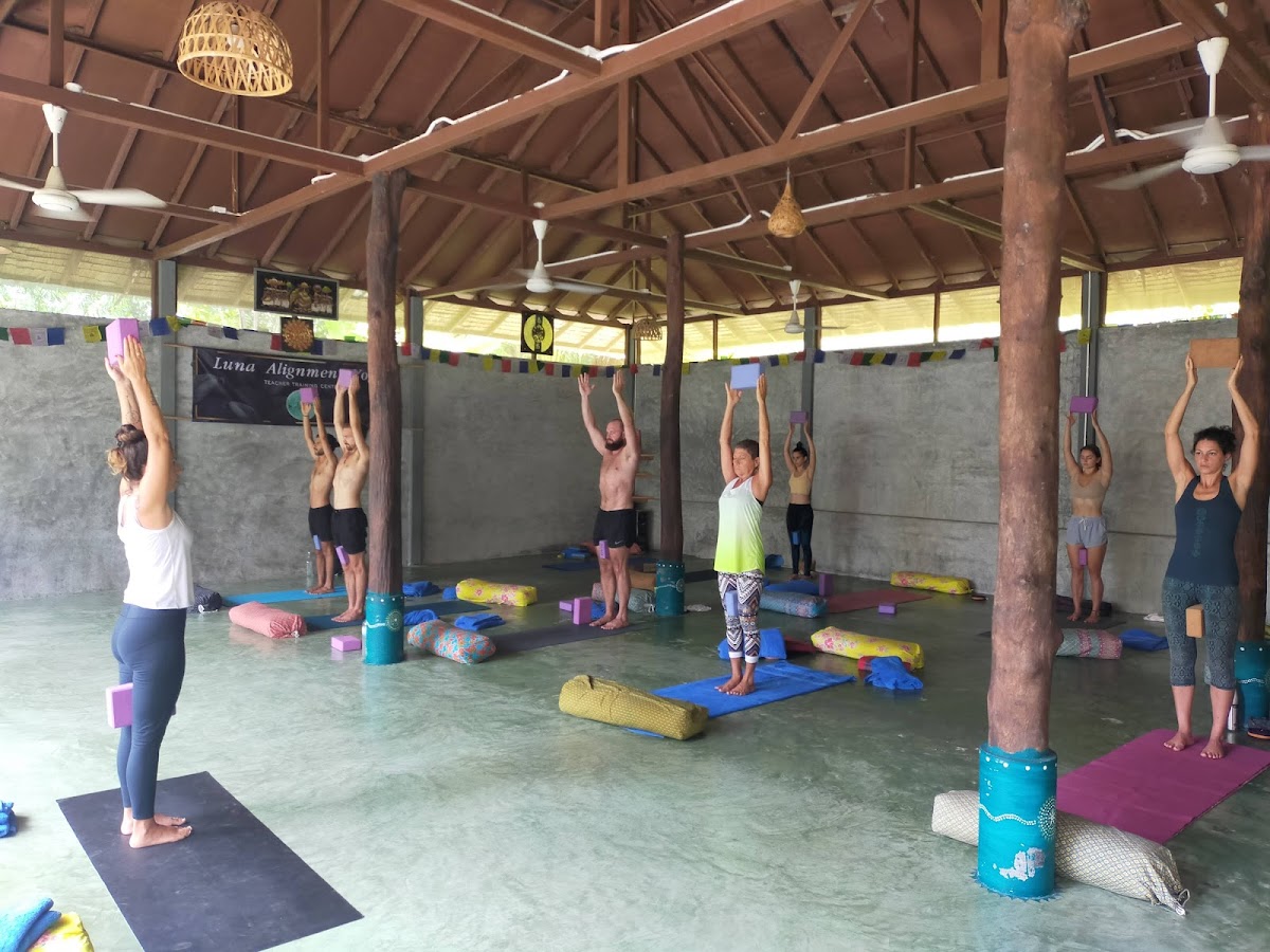 Luna Alignment Yoga — 4
