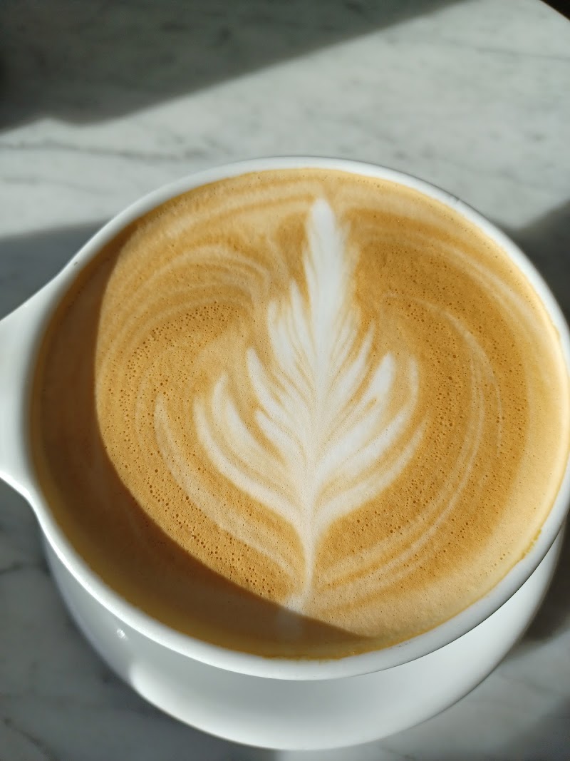 Harless + Hugh Coffee photo 3