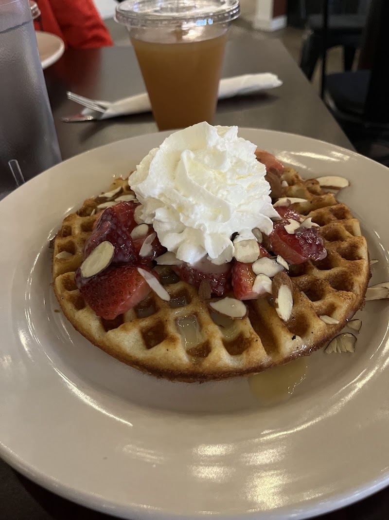 The Leaning Maple photo 4