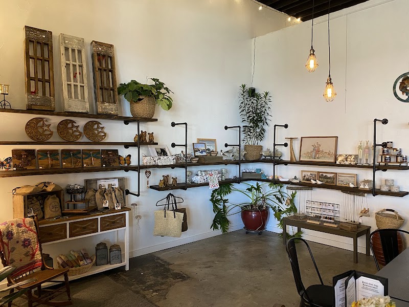 The Leaning Maple photo 1