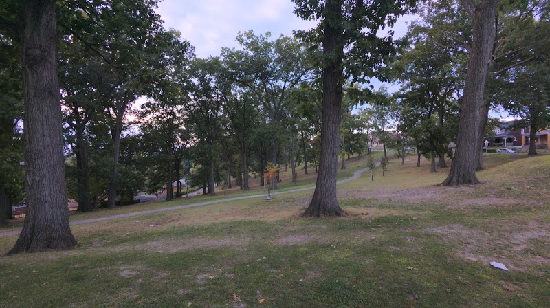 Phillips Park Disc Golf Course photo 2