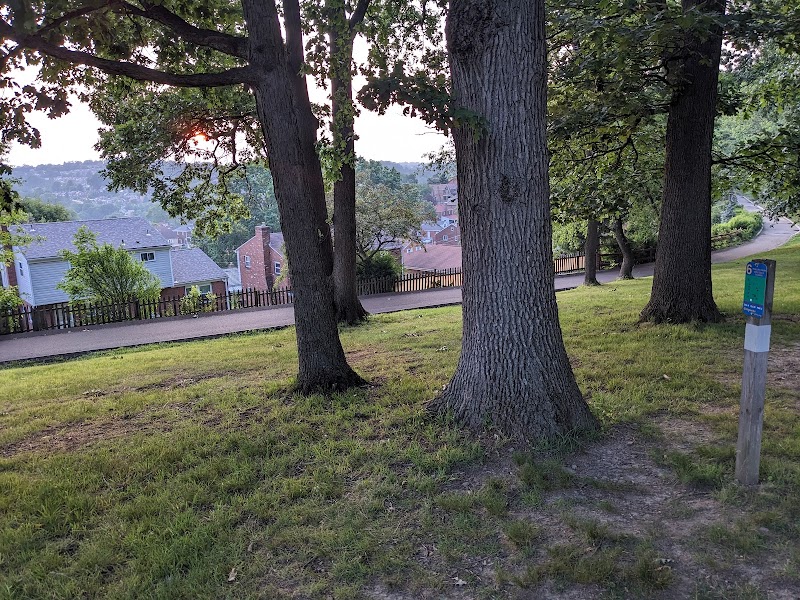 Phillips Park Disc Golf Course photo 3