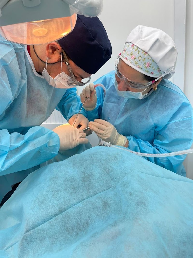 DR. PAULO FERREIRA IMPLANTE DENTÁRIO