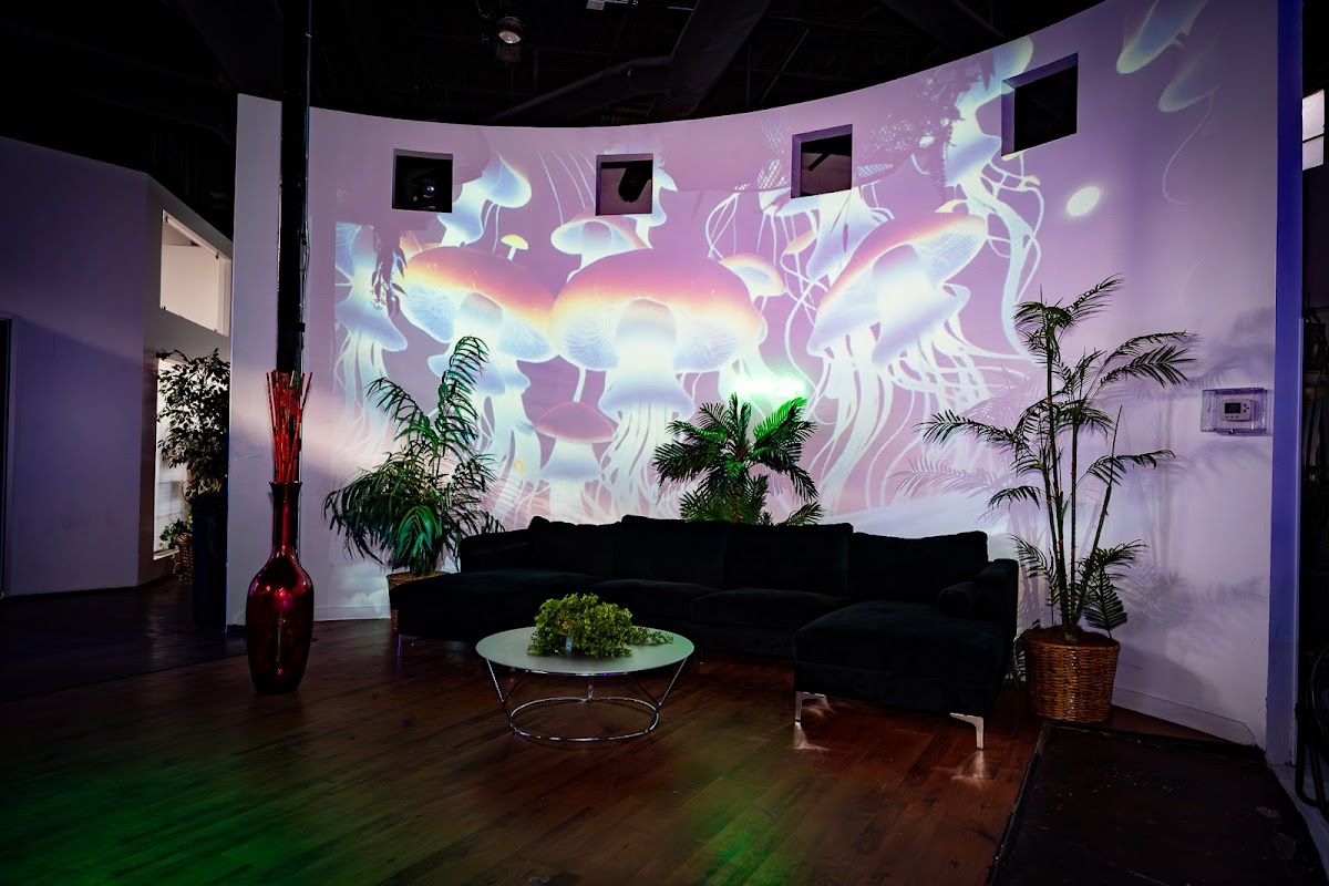 Royal Lane Studios: Google Places image 4