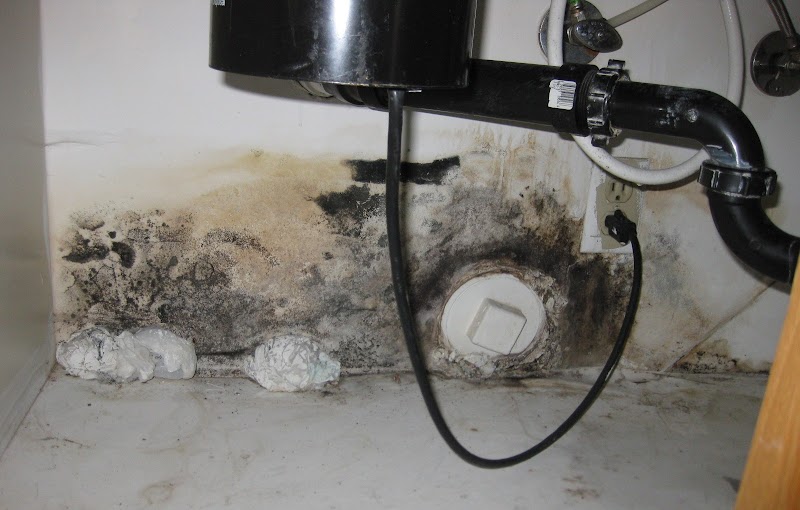 MYERS, SEAN D. radon testing
