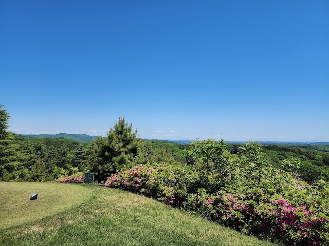 Musashi no Mori Country Club - Photo 5