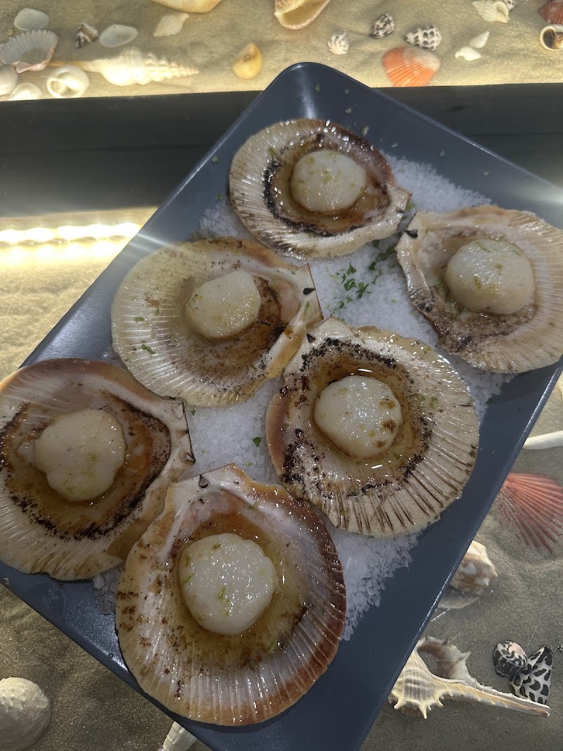 SheShells Restaurant photo 9