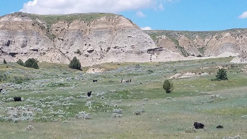Bar X Ranch - Photo 1