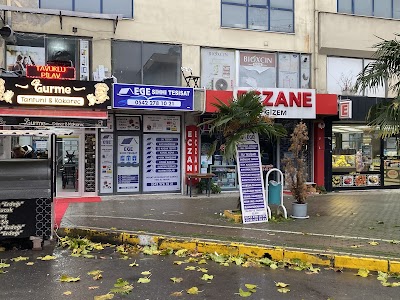 EGE SIHHİ TESİSAT - Kombi Servisi
