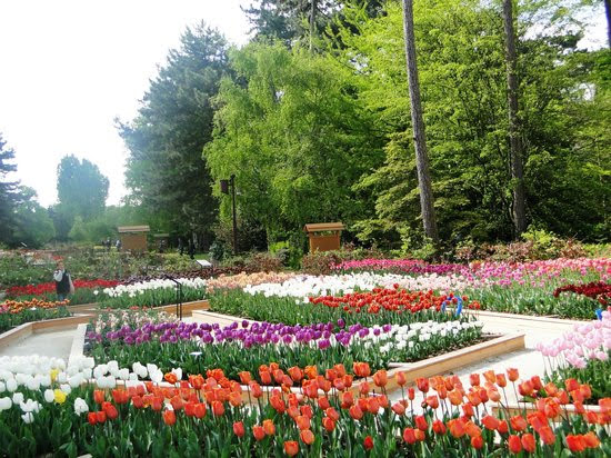 Parc Floral de Paris fotoğraf 1
