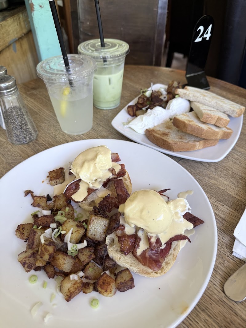 The Snug Cafe photo 3