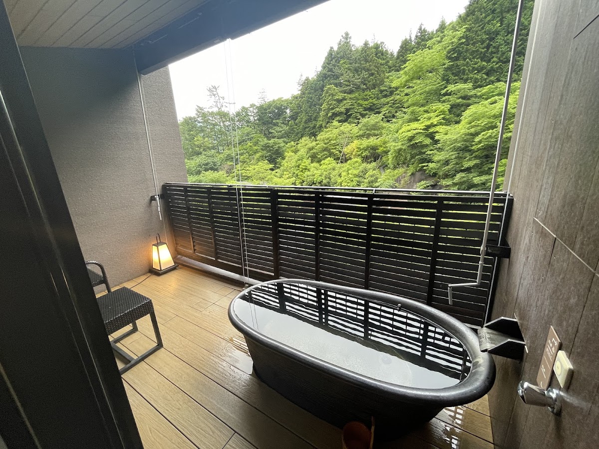 Hakone Kowakien Ten Yu - hotel in Hakone, Kanagawa (3)