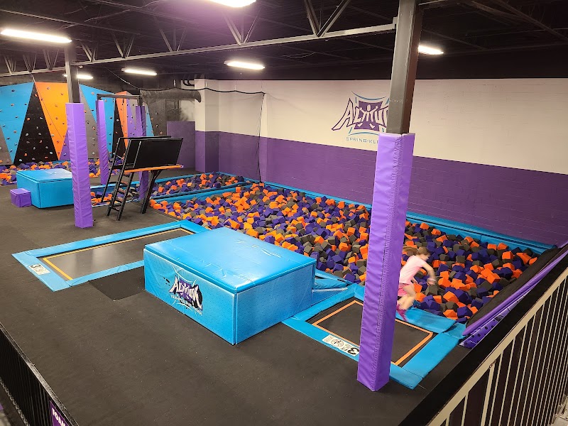 Altitude Trampoline Park Spring-Klein — Amusement Center in Spring
