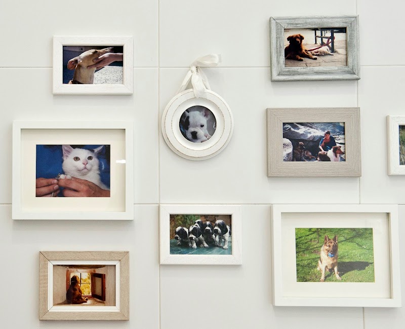 CAN CAT Clínica Veterinaria photo 1