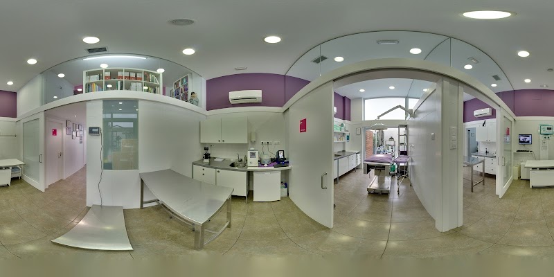 CAN CAT Clínica Veterinaria photo 2