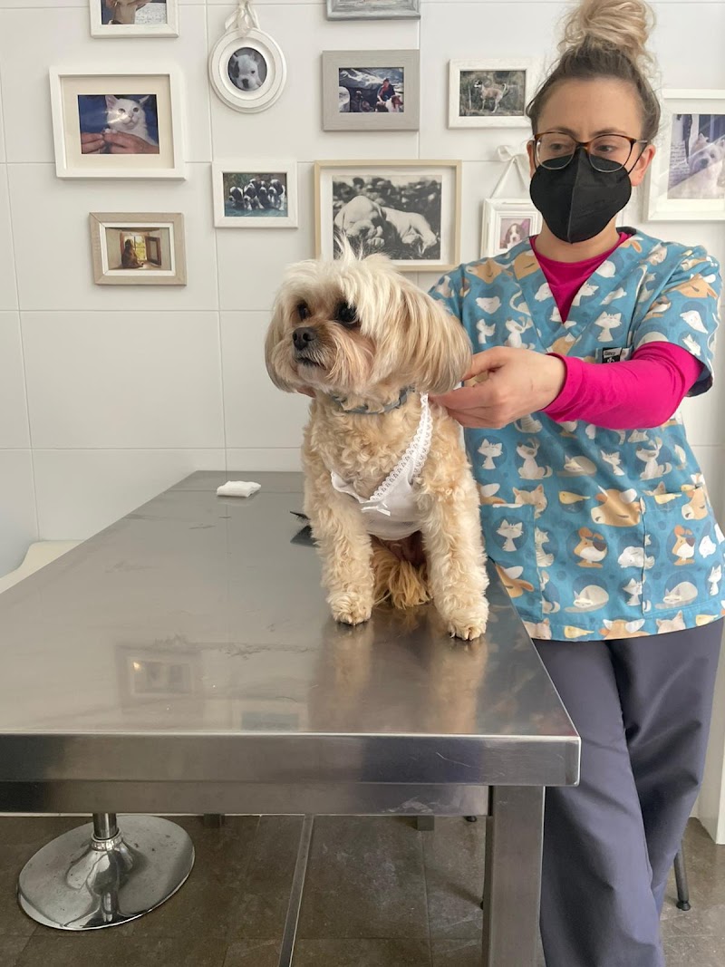 CAN CAT Clínica Veterinaria photo 4