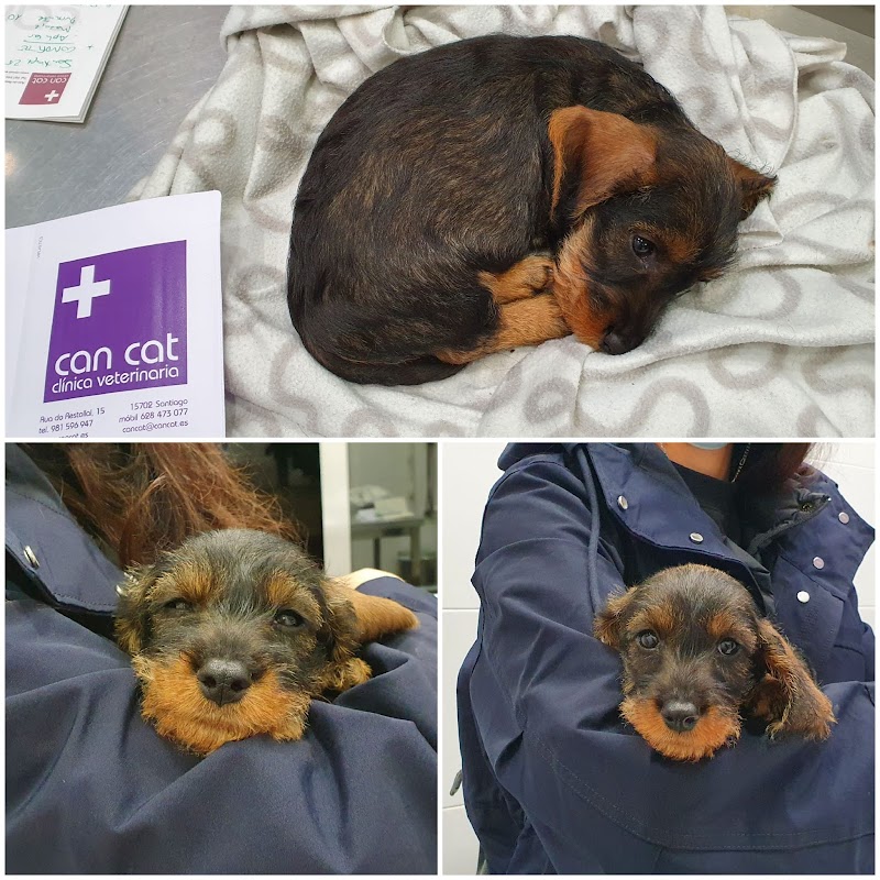 CAN CAT Clínica Veterinaria photo 5