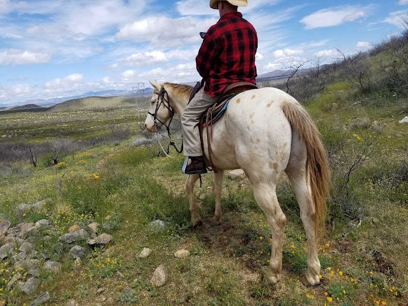 Double R Guest Ranch - Photo 3