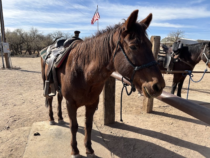 Double R Guest Ranch - Photo 4