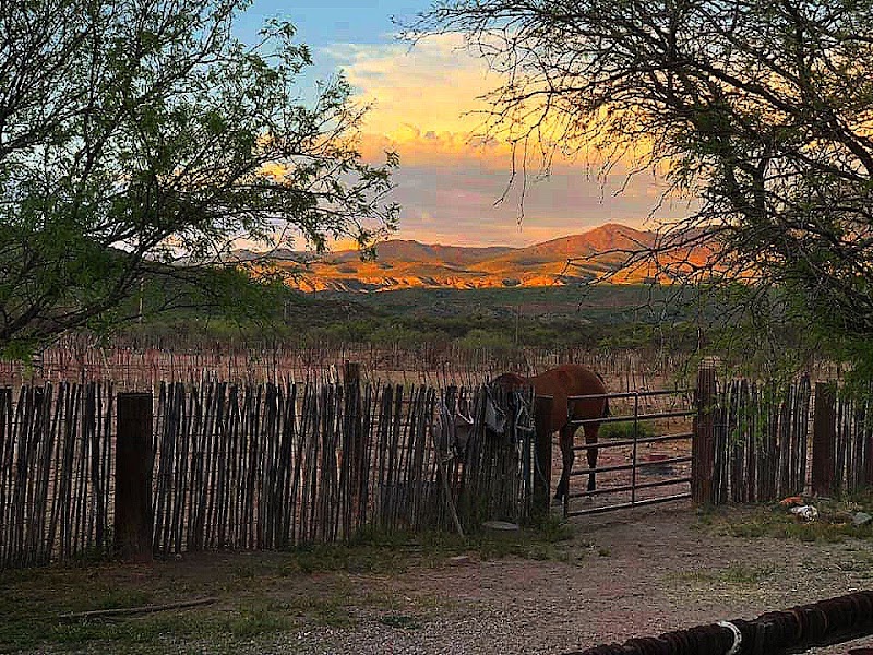 Double R Guest Ranch - Photo 6