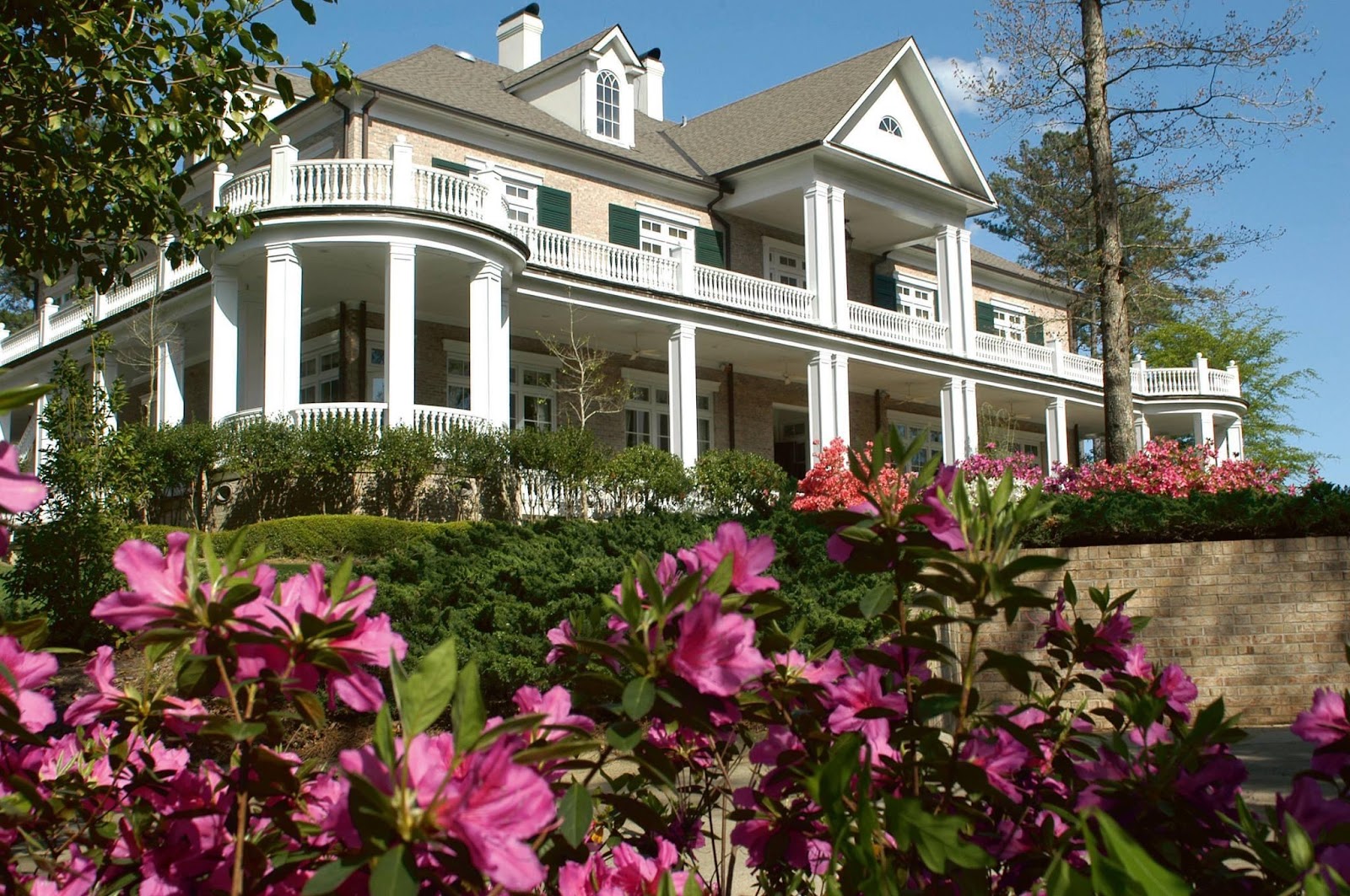 Dancing Rabbit - The Oaks