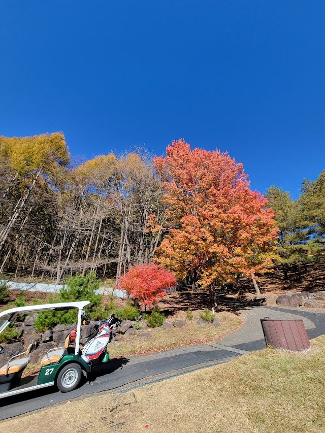Lakewood Golf Club Sunpark Akeno Course - Photo 9