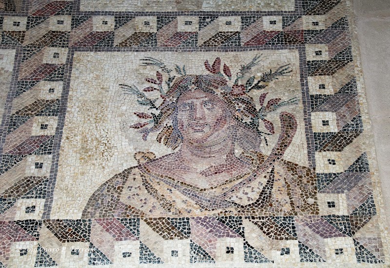 Paphos Mosaics