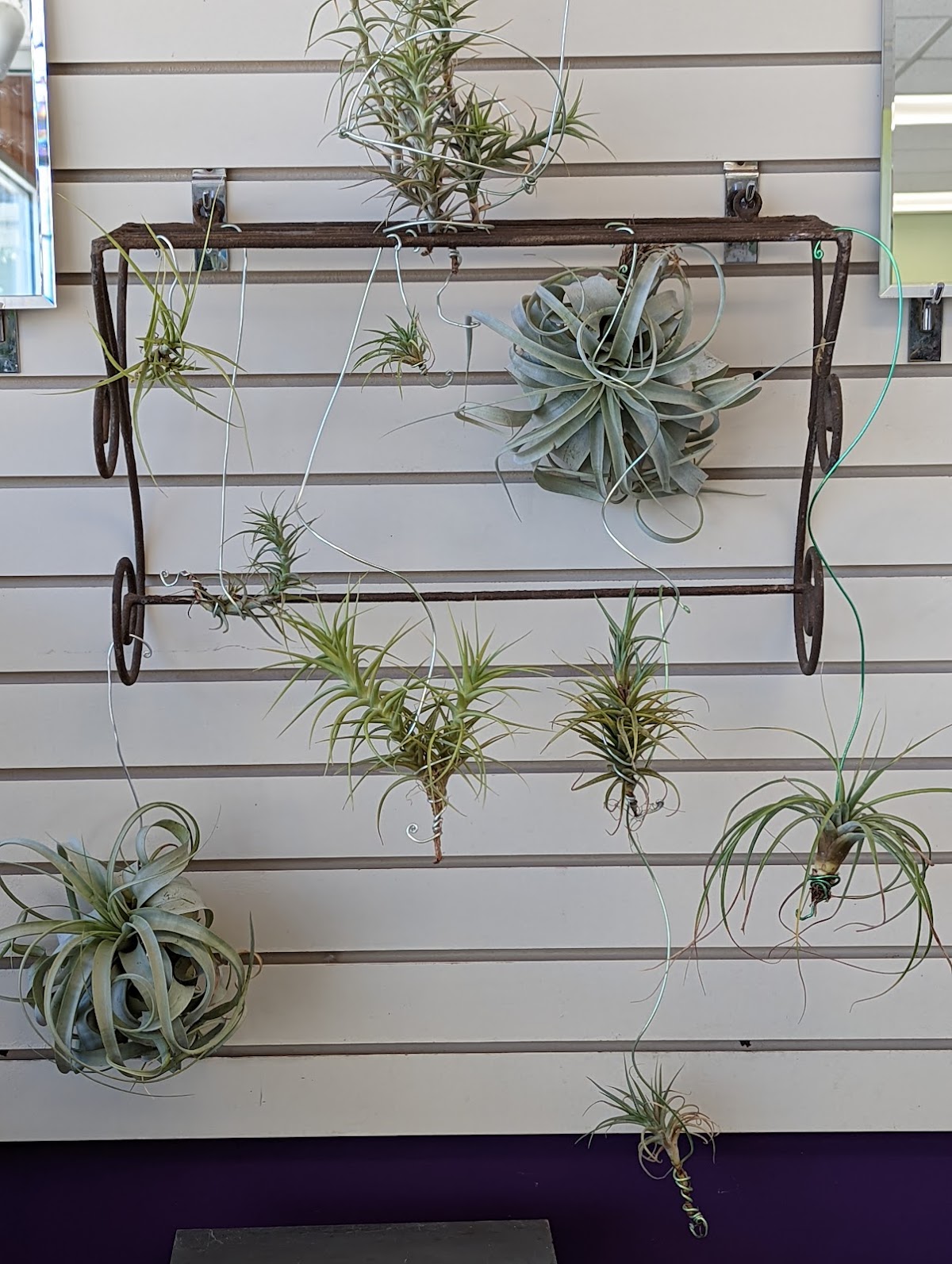 Prestons Florist: Google Places image 4