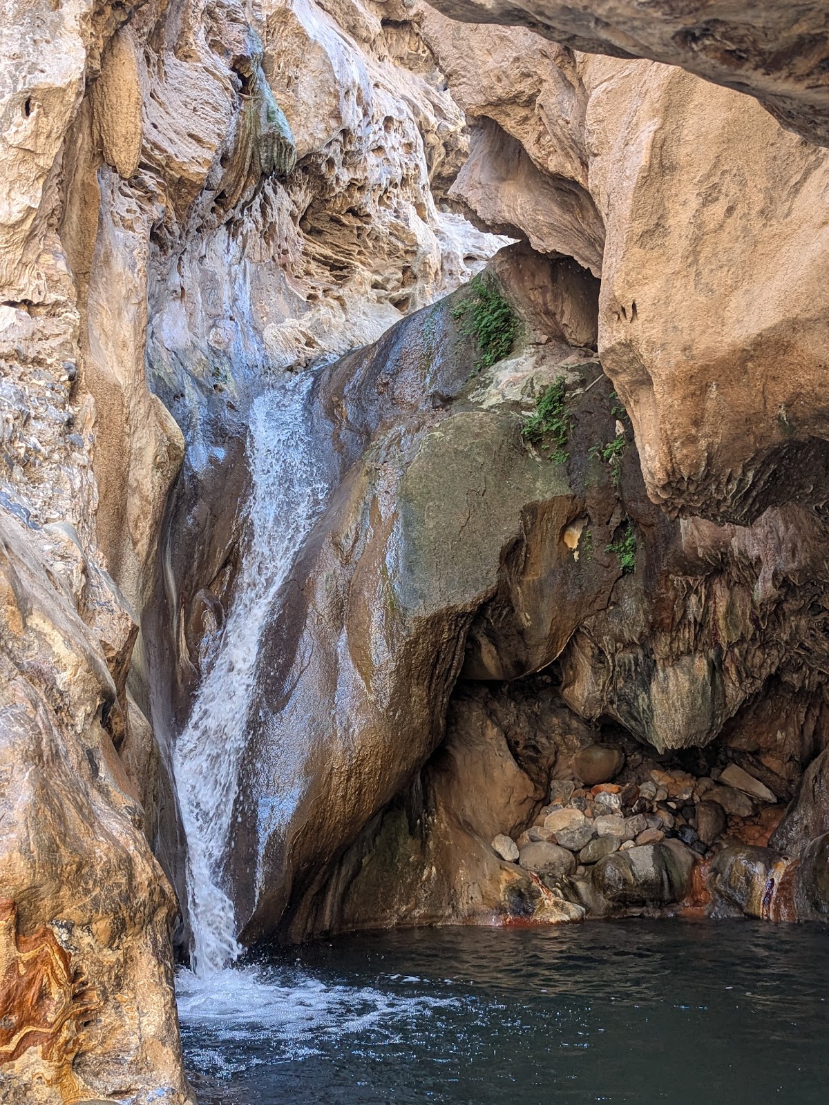 Coyote Aventuras 🐺- Oaxaca Tours and Outdoor Adventures⛰️🌿🚴🏻‍♀️🌊🍄 — 4
