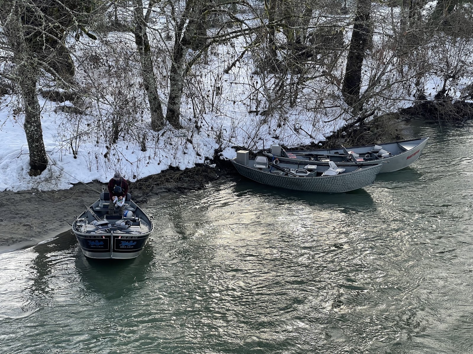 Skagit River Eagle Tours