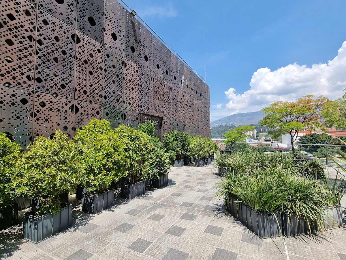 Museo de Arte Moderno