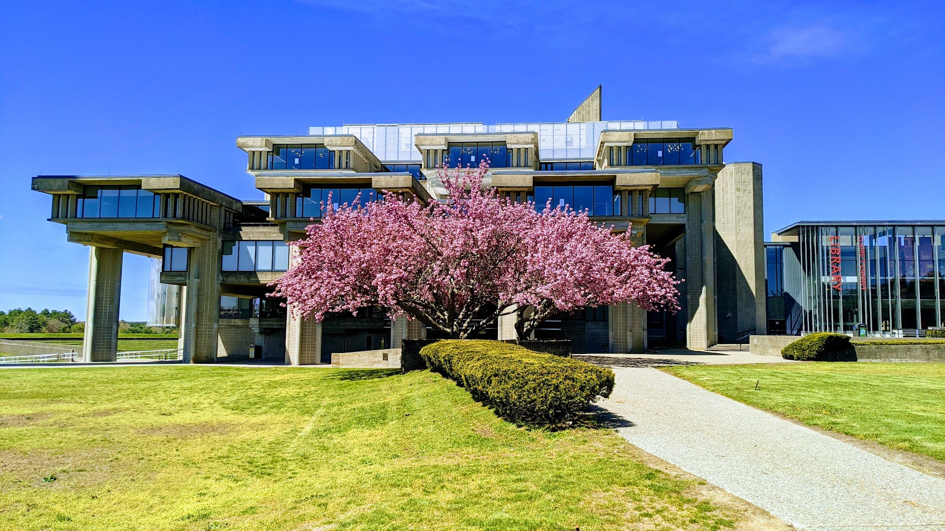 マサチューセッツ大学ダートマス校（University of Massachusetts-Dartmouth）（North Dartmouth、マサチューセッツ州）