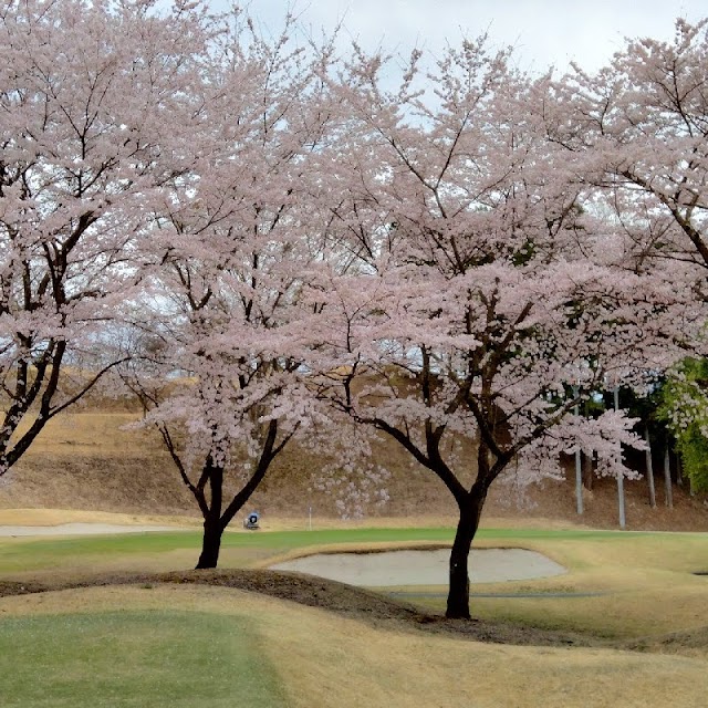 Myogi Country Club - Photo 6