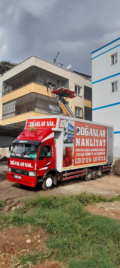 Doğanlar Nakliyat Mersin - Nakliyat